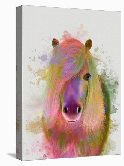 Pony 1 Portrait Rainbow Splash-Fab Funky-Stretched Canvas