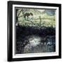 Pony and Dog in a Field, 2000-Peter Wilson-Framed Giclee Print