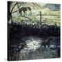 Pony and Dog in a Field, 2000-Peter Wilson-Stretched Canvas