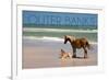 Pony and Foal - Outer Banks, North Carolina-Lantern Press-Framed Art Print