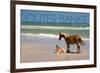 Pony and Foal - Outer Banks, North Carolina-Lantern Press-Framed Art Print