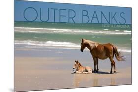 Pony and Foal - Outer Banks, North Carolina-Lantern Press-Mounted Art Print