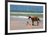Pony and Foal - Outer Banks, North Carolina-Lantern Press-Framed Premium Giclee Print