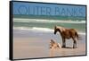 Pony and Foal - Outer Banks, North Carolina-Lantern Press-Framed Stretched Canvas