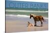 Pony and Foal - Outer Banks, North Carolina-Lantern Press-Stretched Canvas