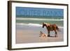 Pony and Foal - Outer Banks, North Carolina-Lantern Press-Framed Art Print