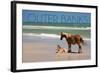 Pony and Foal - Outer Banks, North Carolina-Lantern Press-Framed Art Print