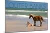 Pony and Foal - Outer Banks, North Carolina-Lantern Press-Mounted Art Print