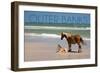 Pony and Foal - Outer Banks, North Carolina-Lantern Press-Framed Art Print