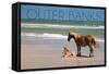 Pony and Foal - Outer Banks, North Carolina-Lantern Press-Framed Stretched Canvas