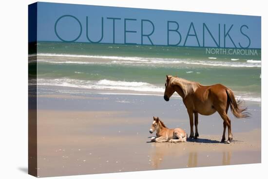 Pony and Foal - Outer Banks, North Carolina-Lantern Press-Stretched Canvas