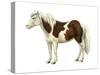 Pony (Equus Caballus), Mammals-Encyclopaedia Britannica-Stretched Canvas