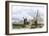 Pony Express Rider Passing Workers Raising Telegraph Poles, 1860s-null-Framed Giclee Print