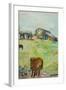 Pony in the Farm Meadow, East Green, 1980-Brenda Brin Booker-Framed Giclee Print