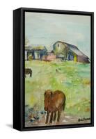 Pony in the Farm Meadow, East Green, 1980-Brenda Brin Booker-Framed Stretched Canvas