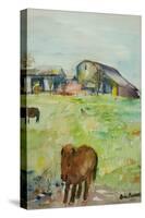 Pony in the Farm Meadow, East Green, 1980-Brenda Brin Booker-Stretched Canvas