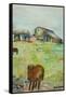 Pony in the Farm Meadow, East Green, 1980-Brenda Brin Booker-Framed Stretched Canvas