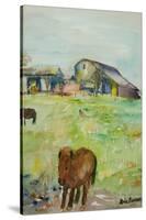 Pony in the Farm Meadow, East Green, 1980-Brenda Brin Booker-Stretched Canvas