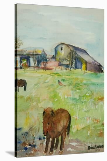 Pony in the Farm Meadow, East Green, 1980-Brenda Brin Booker-Stretched Canvas