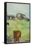 Pony in the Farm Meadow, East Green, 1980-Brenda Brin Booker-Framed Stretched Canvas