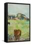 Pony in the Farm Meadow, East Green, 1980-Brenda Brin Booker-Framed Stretched Canvas