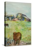 Pony in the Farm Meadow, East Green, 1980-Brenda Brin Booker-Stretched Canvas