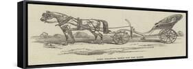 Pony Phaeton for Her Majesty-null-Framed Stretched Canvas