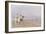 Pony Riding on the Beach at Deauville France-J. Simont-Framed Art Print