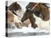 Pony Swim-Scott Neville-Stretched Canvas