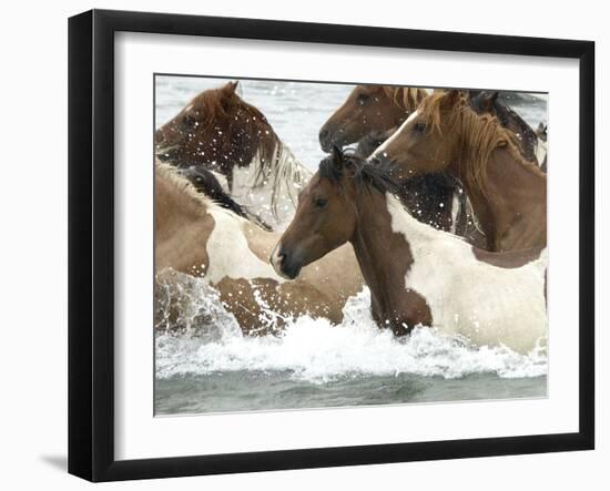 Pony Swim-Scott Neville-Framed Premium Photographic Print