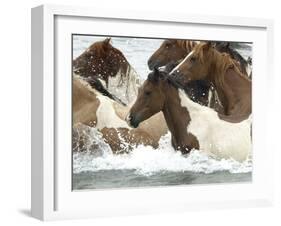 Pony Swim-Scott Neville-Framed Premium Photographic Print