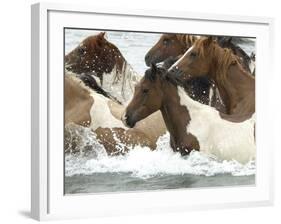 Pony Swim-Scott Neville-Framed Photographic Print