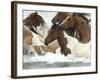 Pony Swim-Scott Neville-Framed Photographic Print