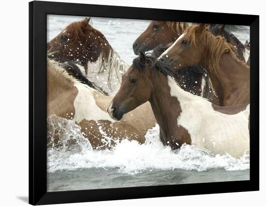 Pony Swim-Scott Neville-Framed Photographic Print