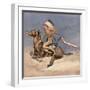 Pony War Dance-Frederic Sackrider Remington-Framed Giclee Print