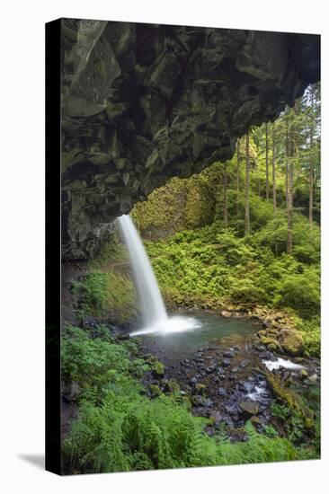 Ponytail Falls, Columbia River Gorge, Oregon-Adam Jones-Stretched Canvas