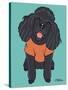 Poodle Black-Tomoyo Pitcher-Stretched Canvas