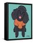 Poodle Black-Tomoyo Pitcher-Framed Stretched Canvas