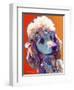 Poodle - Bonnie-Dawgart-Framed Giclee Print