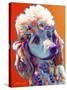 Poodle - Bonnie-Dawgart-Stretched Canvas