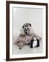 Poodle Dressed as Older Woman Laying Down-Nora Hernandez-Framed Giclee Print