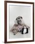 Poodle Dressed as Older Woman Laying Down-Nora Hernandez-Framed Giclee Print