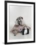 Poodle Dressed as Older Woman Laying Down-Nora Hernandez-Framed Giclee Print