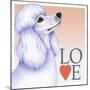 Poodle Love-Tomoyo Pitcher-Mounted Giclee Print