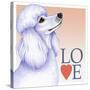 Poodle Love-Tomoyo Pitcher-Stretched Canvas