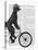 Poodle on Bicycle, Black-Fab Funky-Stretched Canvas