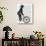 Poodle on Bicycle, Black-Fab Funky-Stretched Canvas displayed on a wall