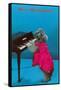 Poodle Playing Piano, Retro-null-Framed Stretched Canvas