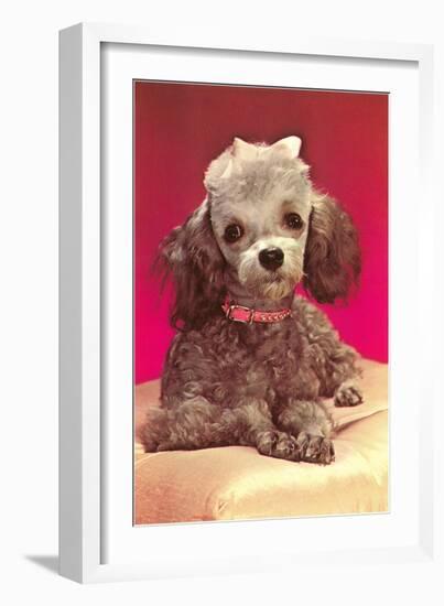 Poodle Pup-null-Framed Art Print