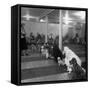 Poodle's Being Trained in Obedience School-null-Framed Stretched Canvas